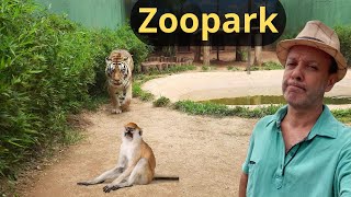 ZOOPARK da MONTANHA o zoológico mais incrível do Brasil [upl. by Auberon]