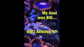 My Goal was BIG… Did I Achieve It [upl. by Digirb79]