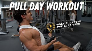 Pull Day Workout after 7 Years of Lifting [upl. by Johnnie]