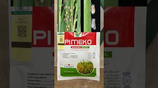 Pimeko insecticide of swat agro for plant hopper and sucking insects on paddyrice crop Kissan Ghar [upl. by Heron]