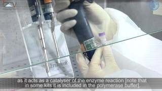 PCR Master Mix preparation and RTPCR [upl. by Darrey256]