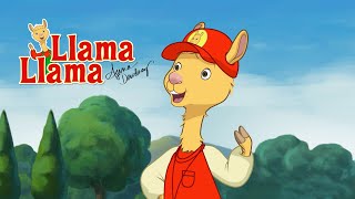 LLama Llamas First Time Coaching [upl. by Rednaxela]