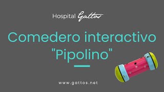 Gattos quotComederos interactivos Pipolinoquot [upl. by Norvun]