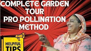 GARDENING TIPS FREE POLLINATION METHOD 🌏👍 [upl. by Kemble]