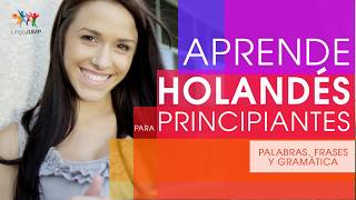 Holandés para principiantes ¡Aprende rápido palabras frases importantes y gramática en holandés [upl. by Ahsenrat]