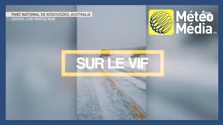 Des bordées de neige records  Sur le vif [upl. by Anewor]