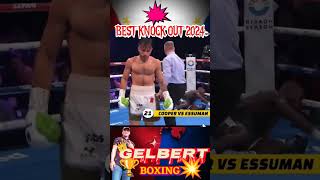 Best Knock out 2024boxing worldboxing [upl. by Enahpets360]