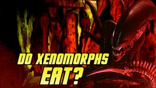 Do Xenomorphs Eat  Explained [upl. by Naig]