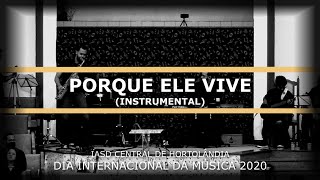 Porque Ele Vive  Instrumental [upl. by Aieki]