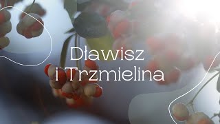 Dławisze i Trzmieliny [upl. by Dupaix]