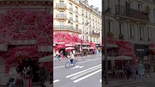 A walk in Le Marais [upl. by Dickens243]