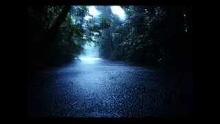 quot60 minsquot Nature Heavy Rainstorm Relaxing Sounds No Music [upl. by Fatima692]