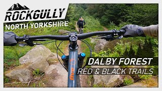 Dalby Forest  Red and Black Trails  North York Moors Mountain Biking [upl. by Coheman702]