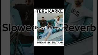 Tere karke Slowed and Reverb sultan [upl. by Palladin]