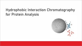 Hydrophobic Interaction Chromatography for Protein Analysis [upl. by Colline]