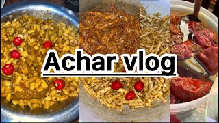 Achar vlog mula ko tama ko sidra ko achar [upl. by Cathe687]