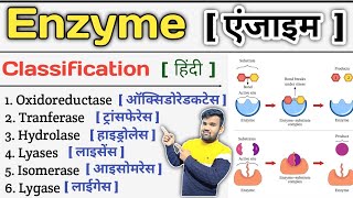 Enzyme in Hindi  Enzymes Biochemistry  Enzyme Classification  Enzymes Inhibition  Enzymes Notes [upl. by Eikceb945]