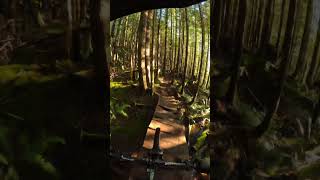 Squamish never disappoints😮‍💨 pov mtb loam dhlaps [upl. by Khan]