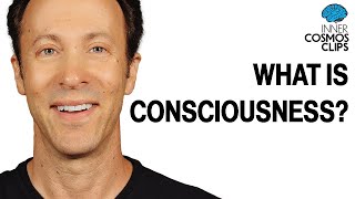 What is Consciousness  INNER COSMOS WITH DAVID EAGLEMAN shorts [upl. by Murage]