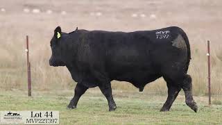 Lot 44 MVP22T397 Mountain Valley 2024 [upl. by Anaitat]