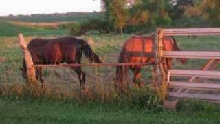 Wild Horses by Mazzy Star [upl. by Irek963]