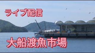 ライブ配信 大船渡魚市場 202359 900〜 [upl. by Naam]