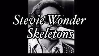 Stevie Wonder  Skeletons Legendado PTBR [upl. by Yatnahs]