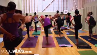 Ashtanga Yoga Half Primary Series  Kino MacGregor [upl. by Niwrud]