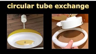 Change circular fluorescent tube  exchange circline fluorescent light bulb [upl. by Wardieu]