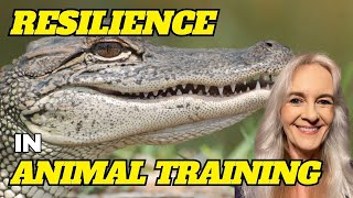 An Exploration Of Resilience In Animal Training [upl. by Catherine]