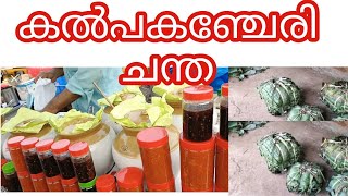 കൽപകഞ്ചേരി ചന്ത kalpakanchery chantha  vettila Fish vegetables dress offer market [upl. by Ecirtak]