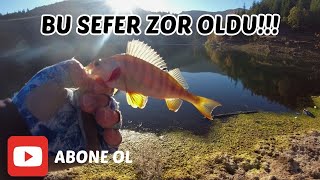 SABAH SUYU PERCH AVI  BALIKLARI KANDIRMAK BU SEFER ZOR OLDU [upl. by Tterag62]