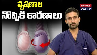 Common Causes of Testicular Pain  Treatment for Testicular PainDrSurender Reddy MedPlusONETV [upl. by Theo]