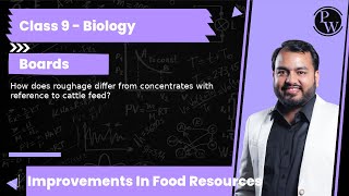 How does roughage differ from concentratesith reference to cattle feed [upl. by Noelc951]