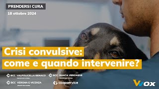 CRISI CONVULSIVE COME E QUANDO INTERVENIRE [upl. by Ymerrej]