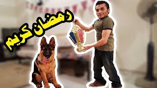 تدريبات رمضان  DOG TRAINING [upl. by Humberto]