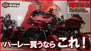 【車両の違いを検証】人気のロードグライドとストリートグライドの違い。 [upl. by Dranek983]