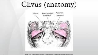 Clivus anatomy [upl. by Lebam]