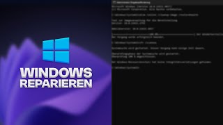 Windows 1011 reparieren in 5 Minuten [upl. by Enerual244]