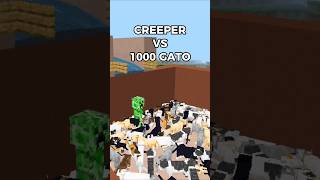 CREEPER VS GATO 💥🙀 minecraft shorts [upl. by Vincent673]