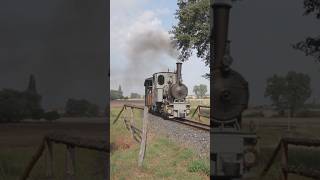 🇨🇿 Kolínská Řepařská drážka Replika parní lokomotivy Orenstein amp Koppel 40 HP 600 mm train railway [upl. by Eelhsa]