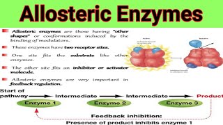 Allosteric Enzymes And Feedback Mechanism  Lecture No  28 [upl. by Gotthelf]