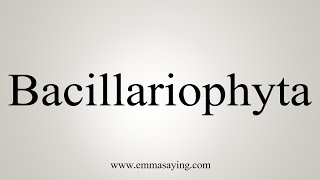 How To Say Bacillariophyta [upl. by Nahttam]