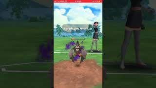 Mega blastoise vs dragonite pvp [upl. by Alistair281]