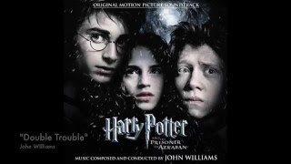 quotThe Beautiful Music of the Harry Potter Seriesquot [upl. by Eicirtap712]