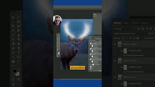 Efekt rozświetlenia na zwierzętach photoshop [upl. by Quartas]