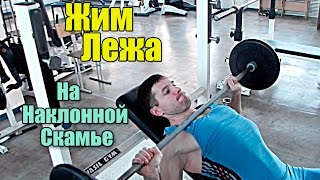 Жим лежа на наклонной скамье Техника выполнения [upl. by Bev]