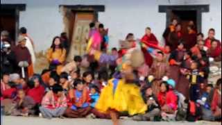 Blacknecked Crane Festival in Bhutan by Seth Masarik [upl. by Atnahsal]