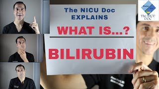 What is Jaundice and Bilirubin in Newborns The NICU Doc explains [upl. by Aerdnat865]