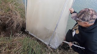 Whitebait VLOG 11 Adrian Turns Up With His Net amp Hes Impressed [upl. by Tierza]